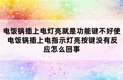 电饭锅插上电灯亮就是功能键不好使 电饭锅插上电指示灯亮按键没有反应怎么回事